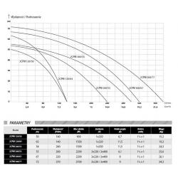 Wykres wydajności oraz parametry pompy 2CPM 300/67 400V IBO